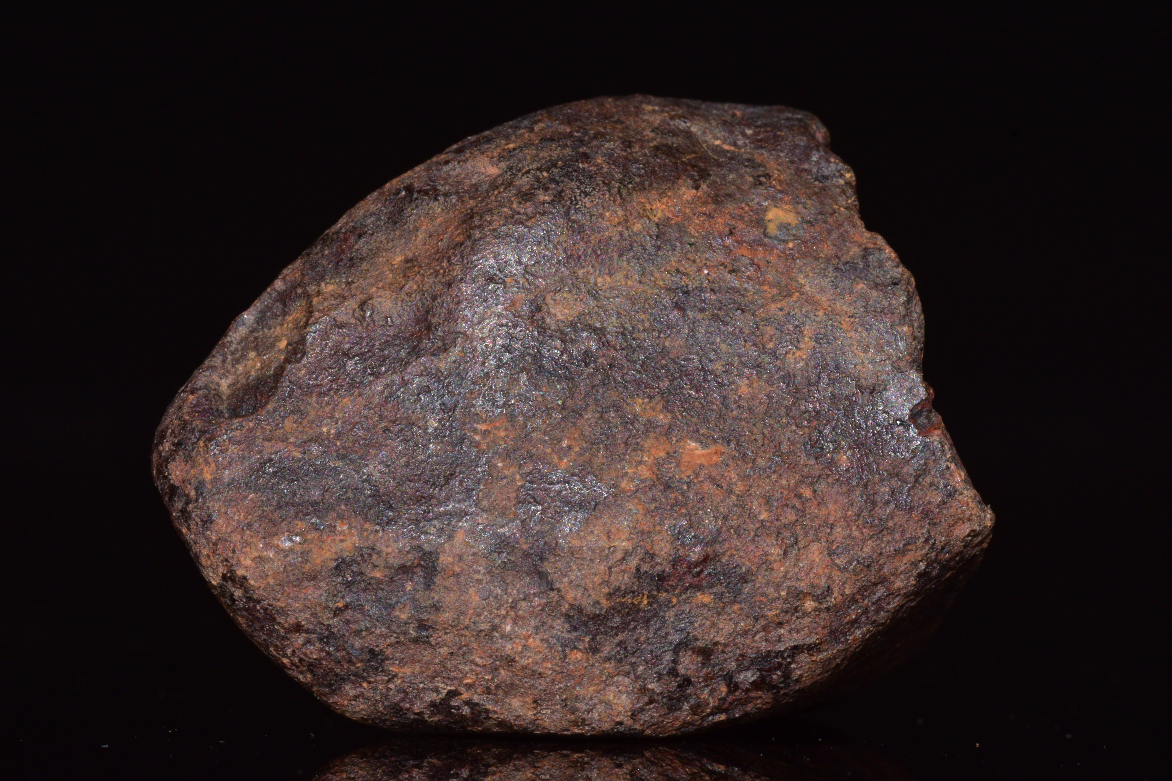 Unclassified Chondrite Meteorite Complete fragment