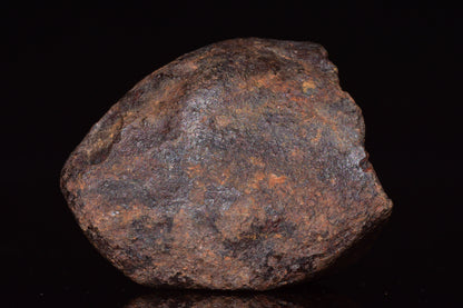 Unclassified Chondrite Meteorite Complete fragment