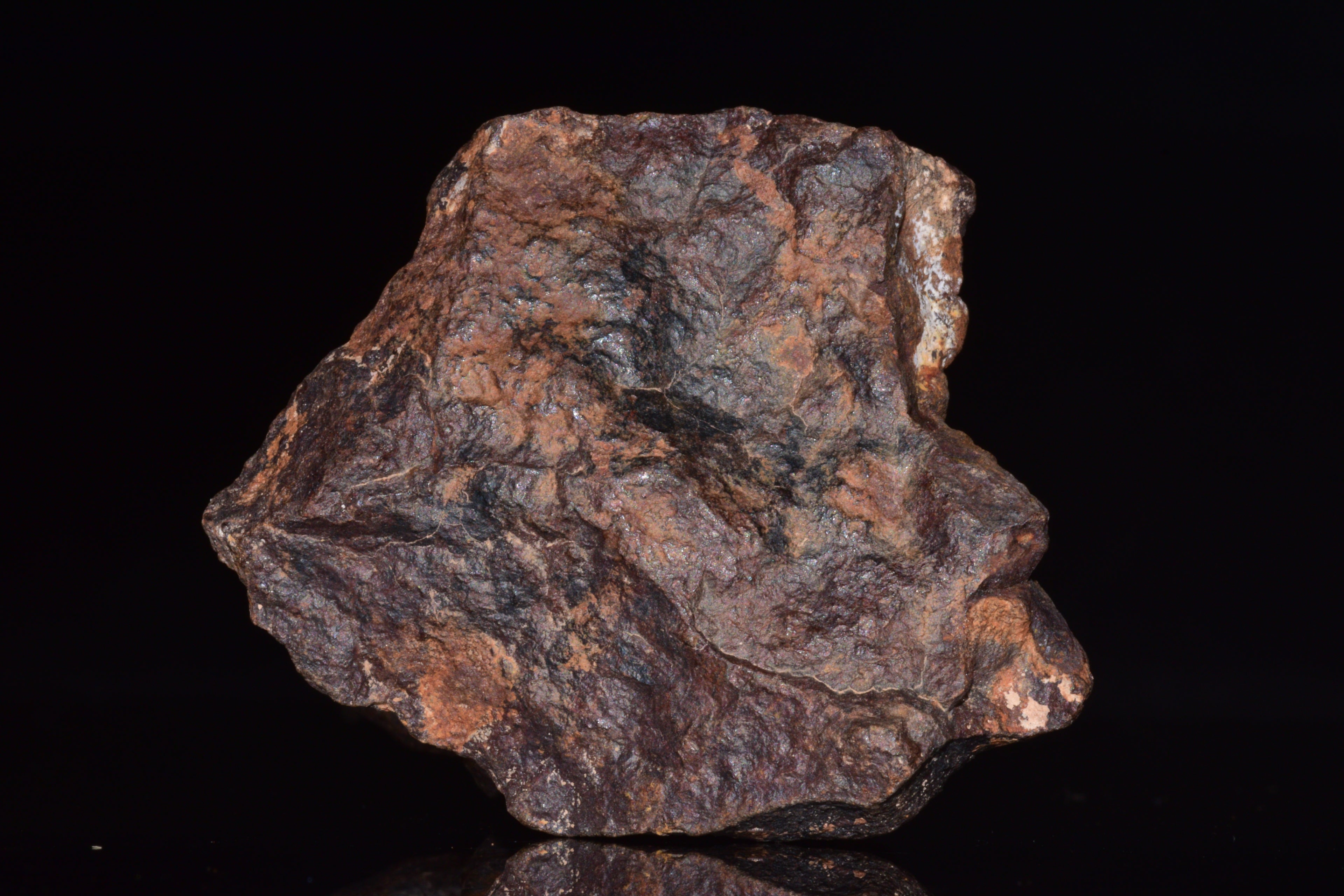 Unclassified Chondrite Meteorite Complete fragment
