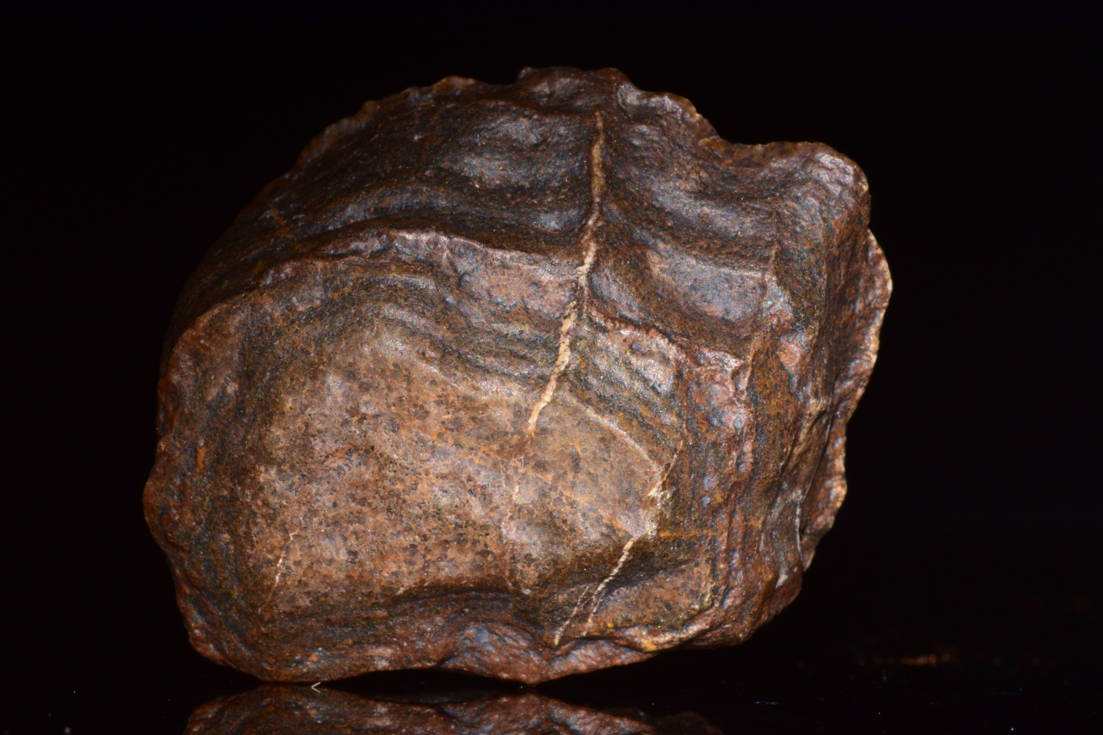 Unclassified Chondrite Meteorite Complete fragment