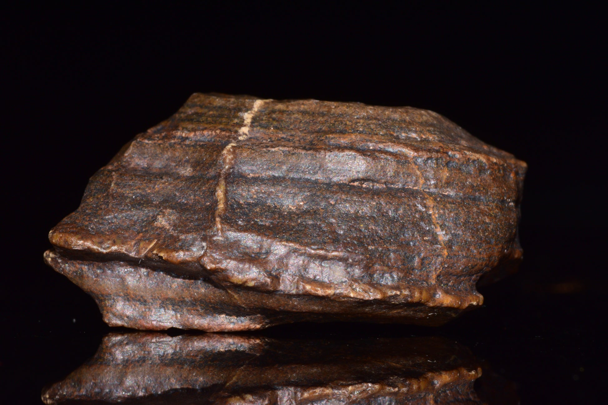 Unclassified Chondrite Meteorite Complete fragment