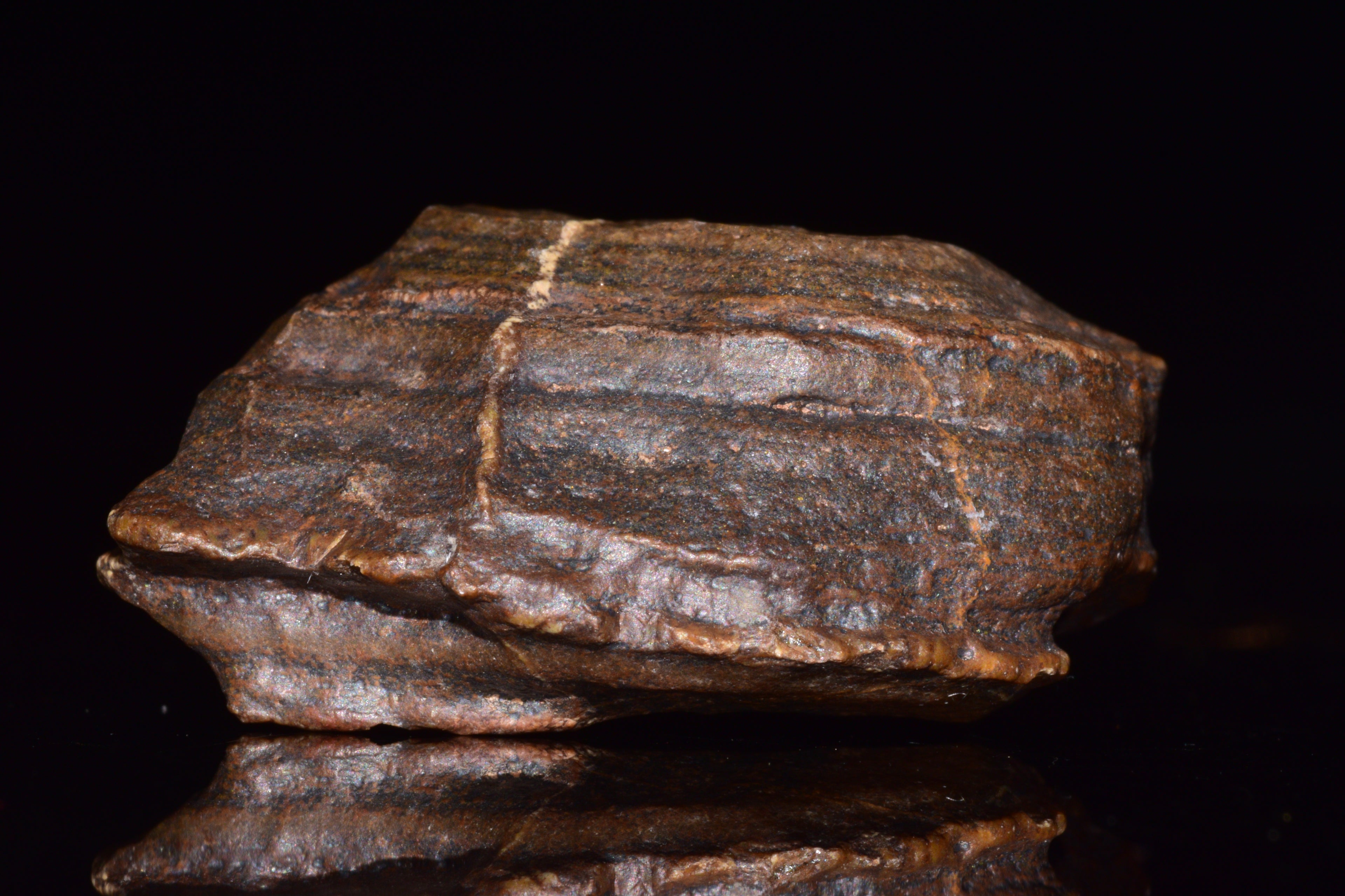 Unclassified Chondrite Meteorite Complete fragment