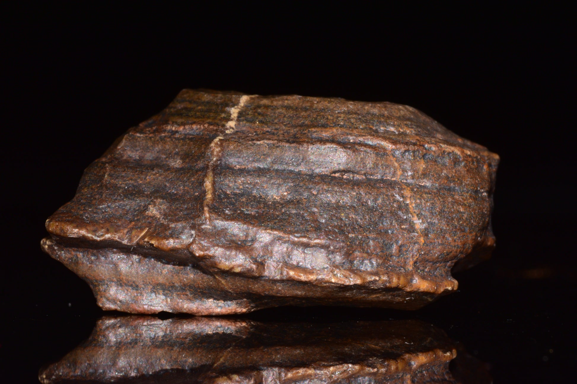 Unclassified Chondrite Meteorite Complete fragment