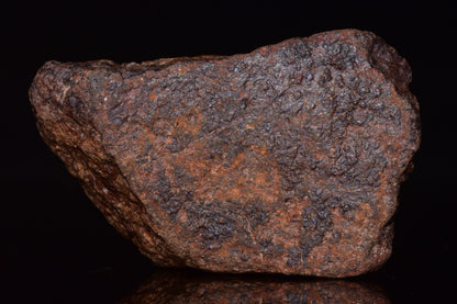 Unclassified Chondrite Meteorite Complete fragment