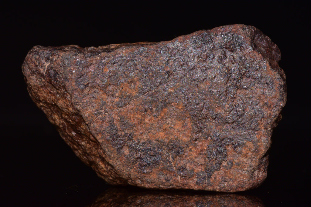 Unclassified Chondrite Meteorite Complete fragment