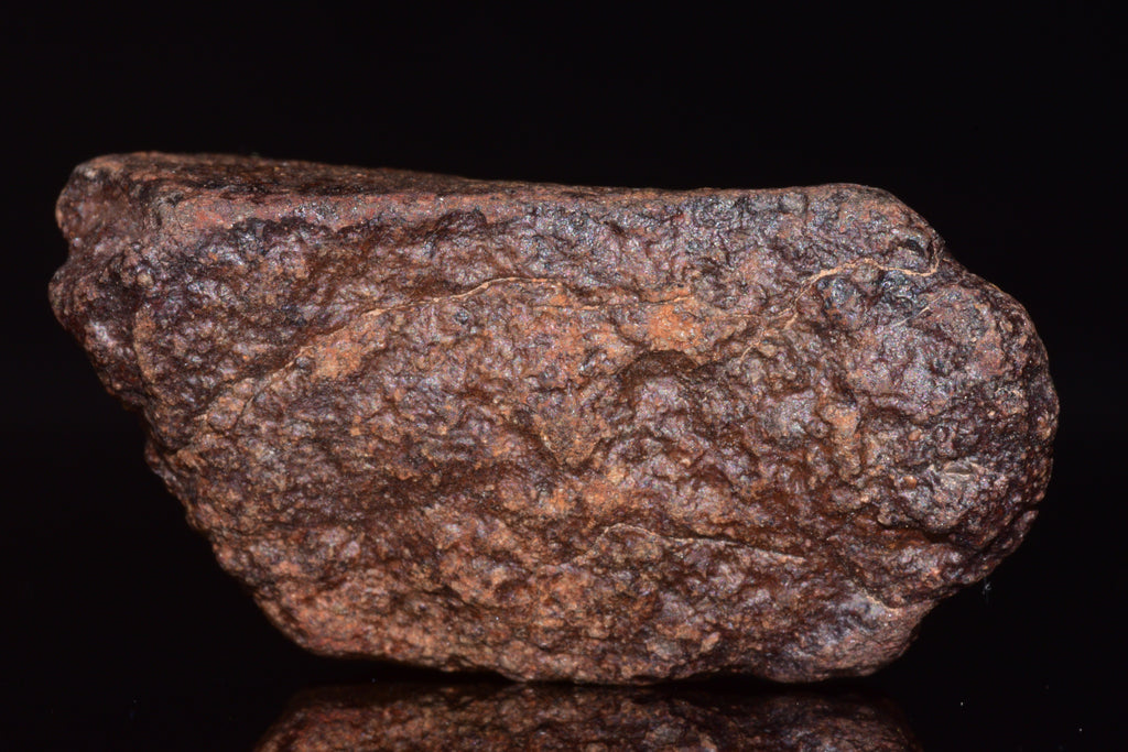 Unclassified Chondrite Meteorite Complete fragment