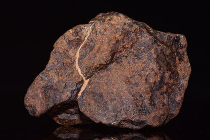 Unclassified Chondrite Meteorite Complete fragment