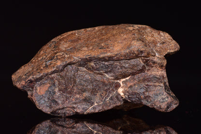 Unclassified Chondrite Meteorite Complete fragment
