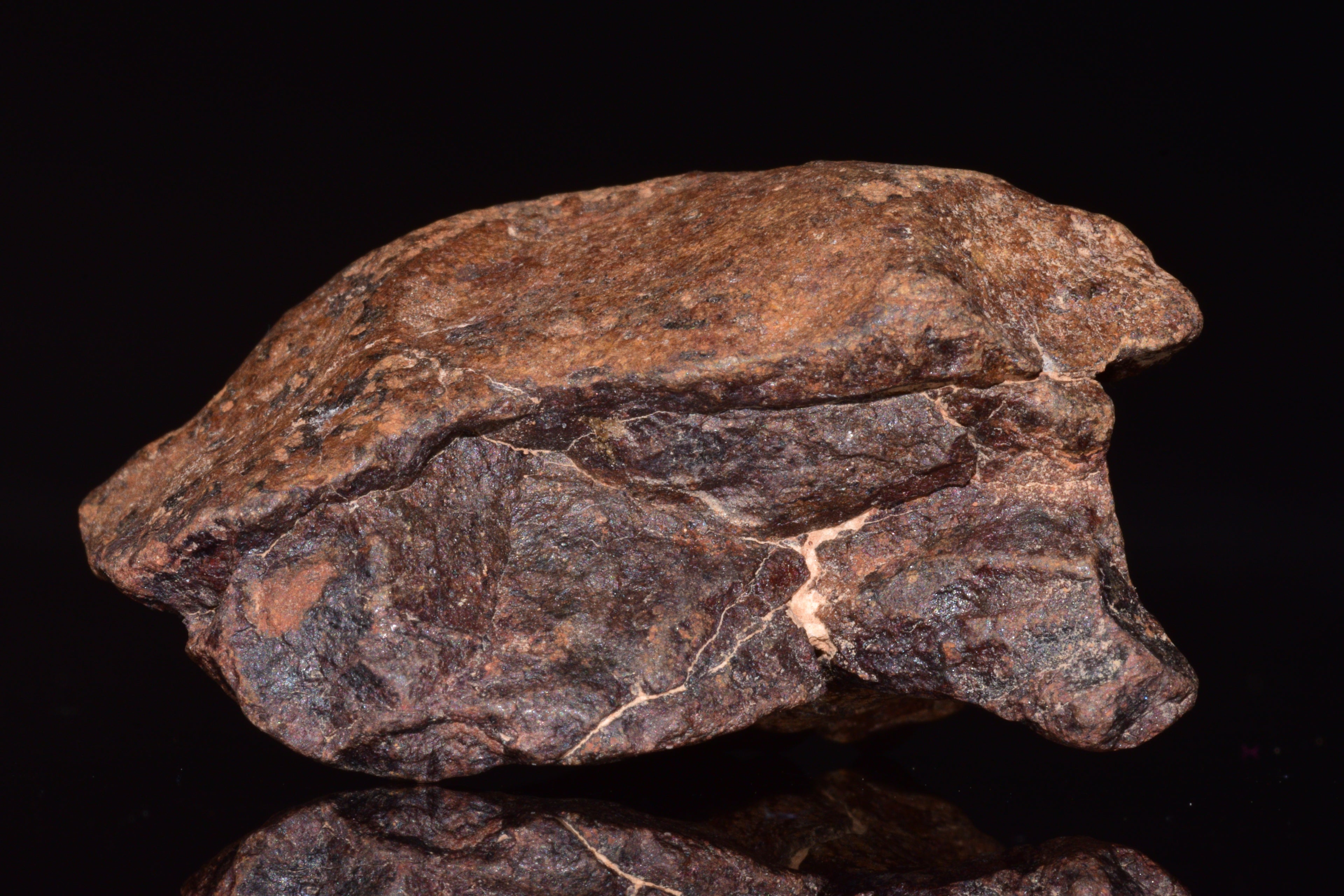 Unclassified Chondrite Meteorite Complete fragment