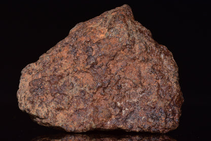 Unclassified Chondrite Meteorite Complete fragment