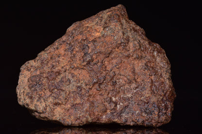 Unclassified Chondrite Meteorite Complete fragment