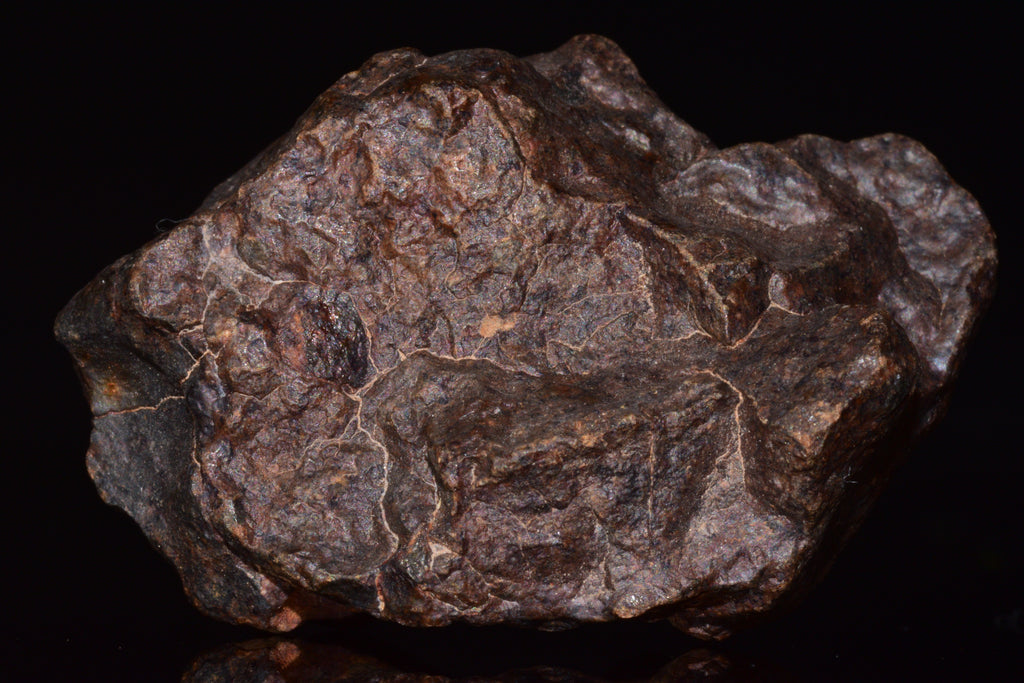 Unclassified Chondrite Meteorite Complete fragment
