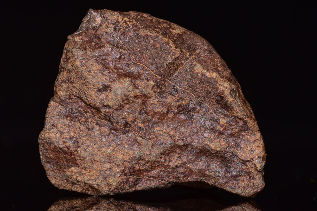 Unclassified Chondrite Meteorite Complete fragment