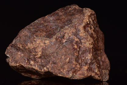 Unclassified Chondrite Meteorite Complete fragment
