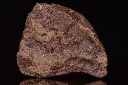 Unclassified Chondrite Meteorite Complete fragment