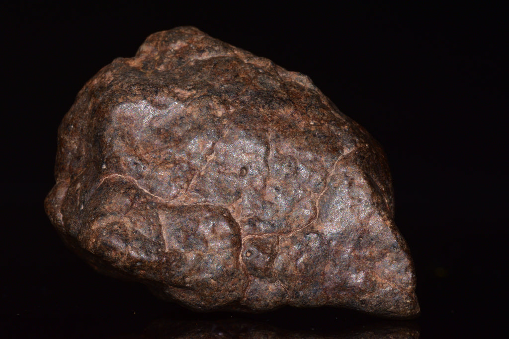 Unclassified Chondrite Meteorite Complete fragment