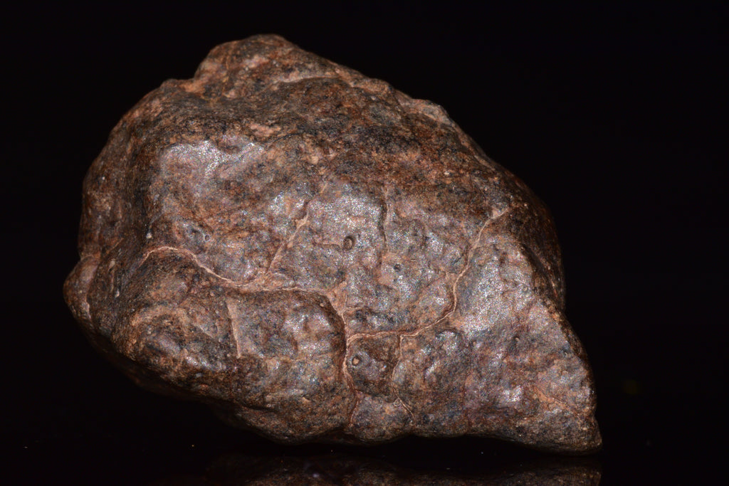 Unclassified Chondrite Meteorite Complete fragment
