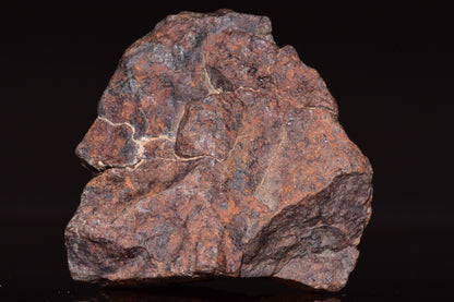 Unclassified Chondrite Meteorite Complete fragment