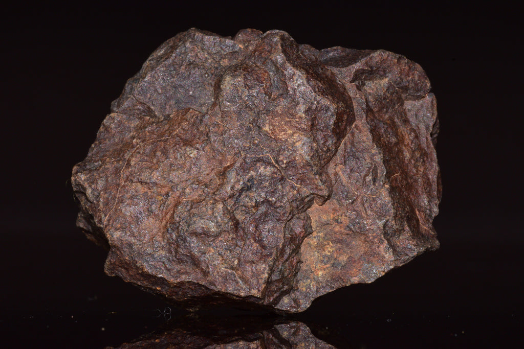 Unclassified Chondrite Meteorite Complete fragment