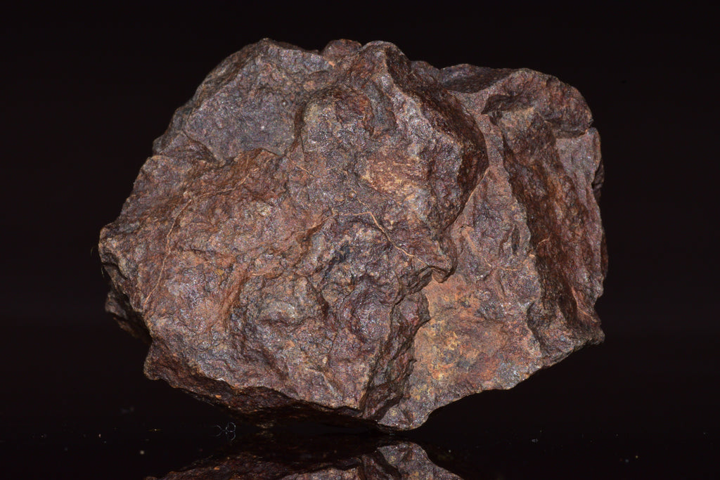 Unclassified Chondrite Meteorite Complete fragment
