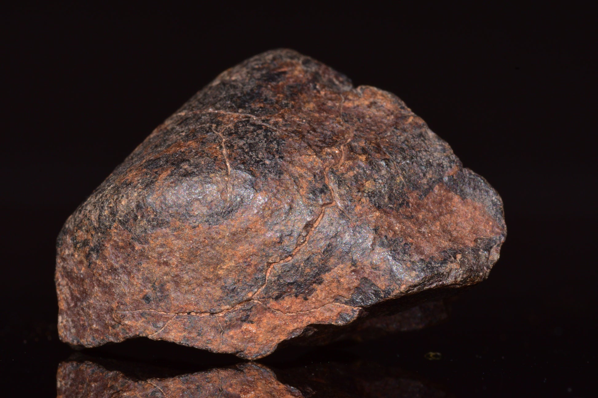 Unclassified Chondrite Meteorite Complete fragment