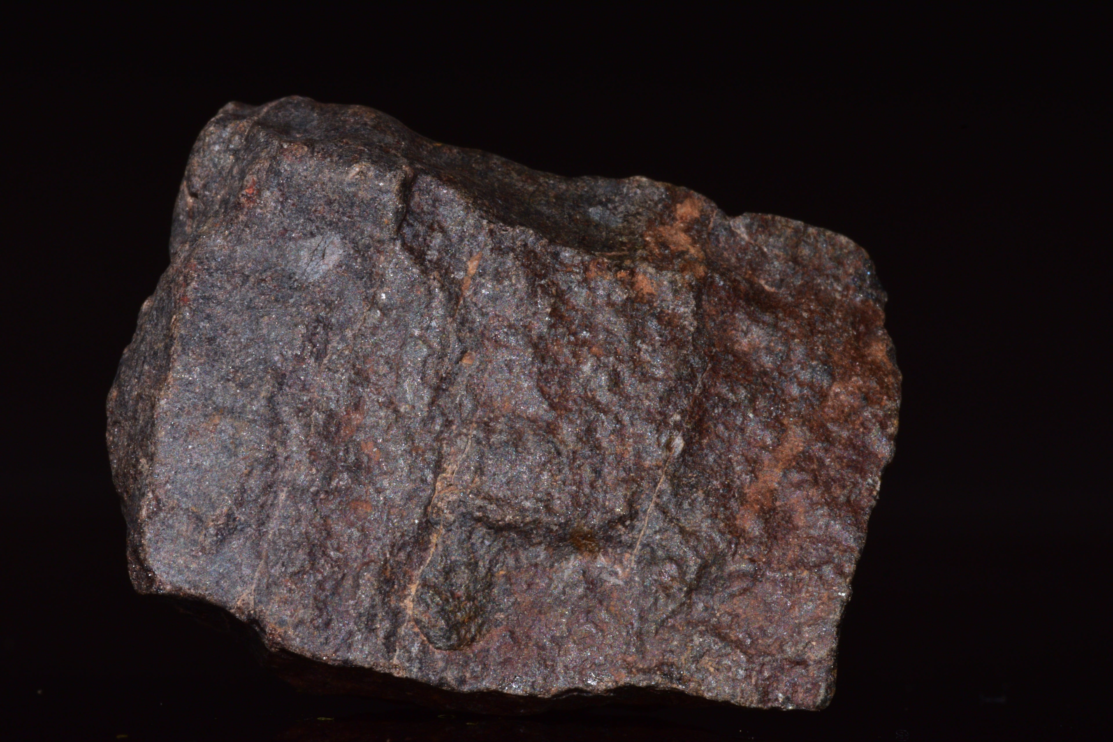 Unclassified Chondrite Meteorite Complete fragment