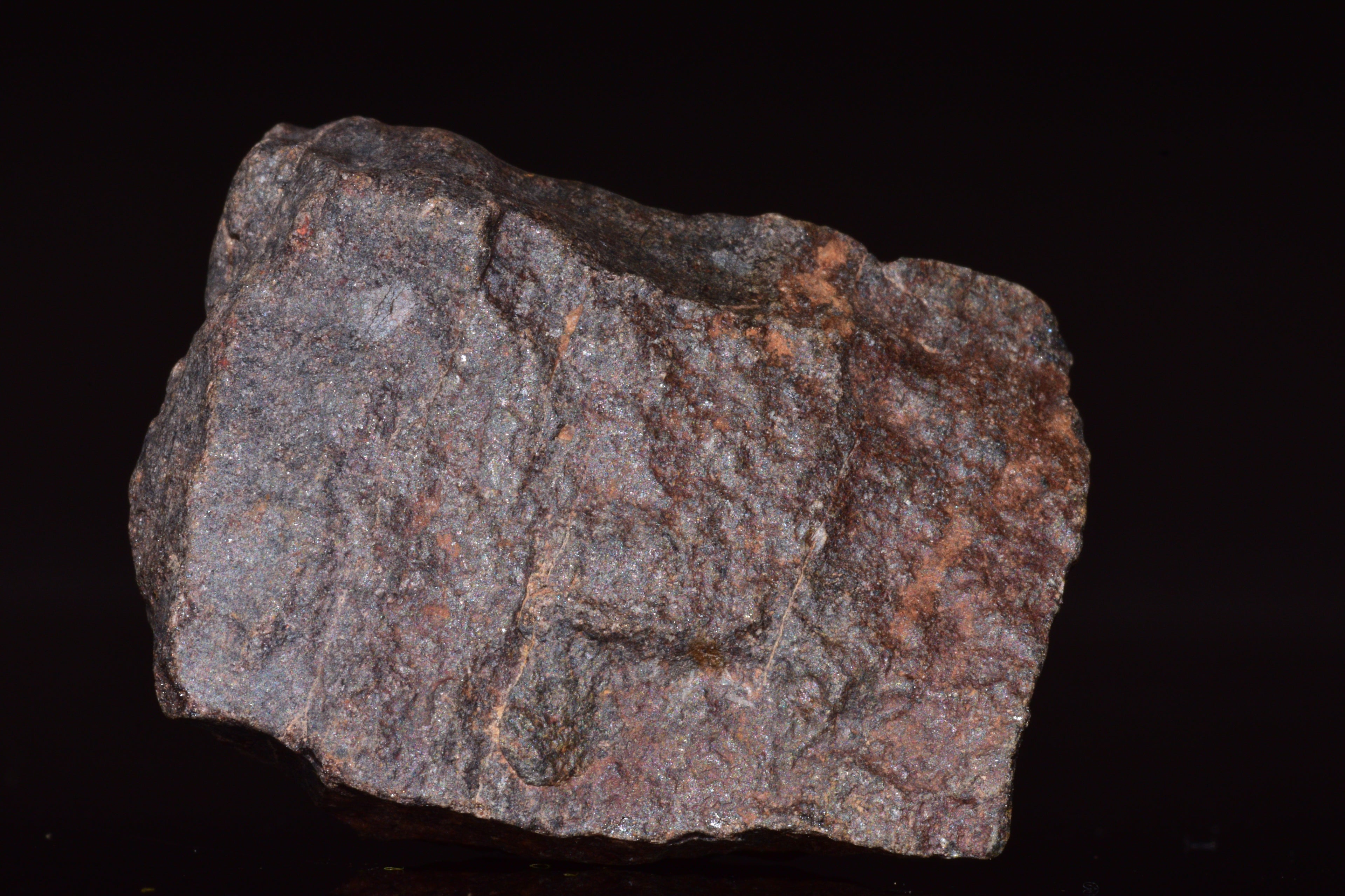 Unclassified Chondrite Meteorite Complete fragment