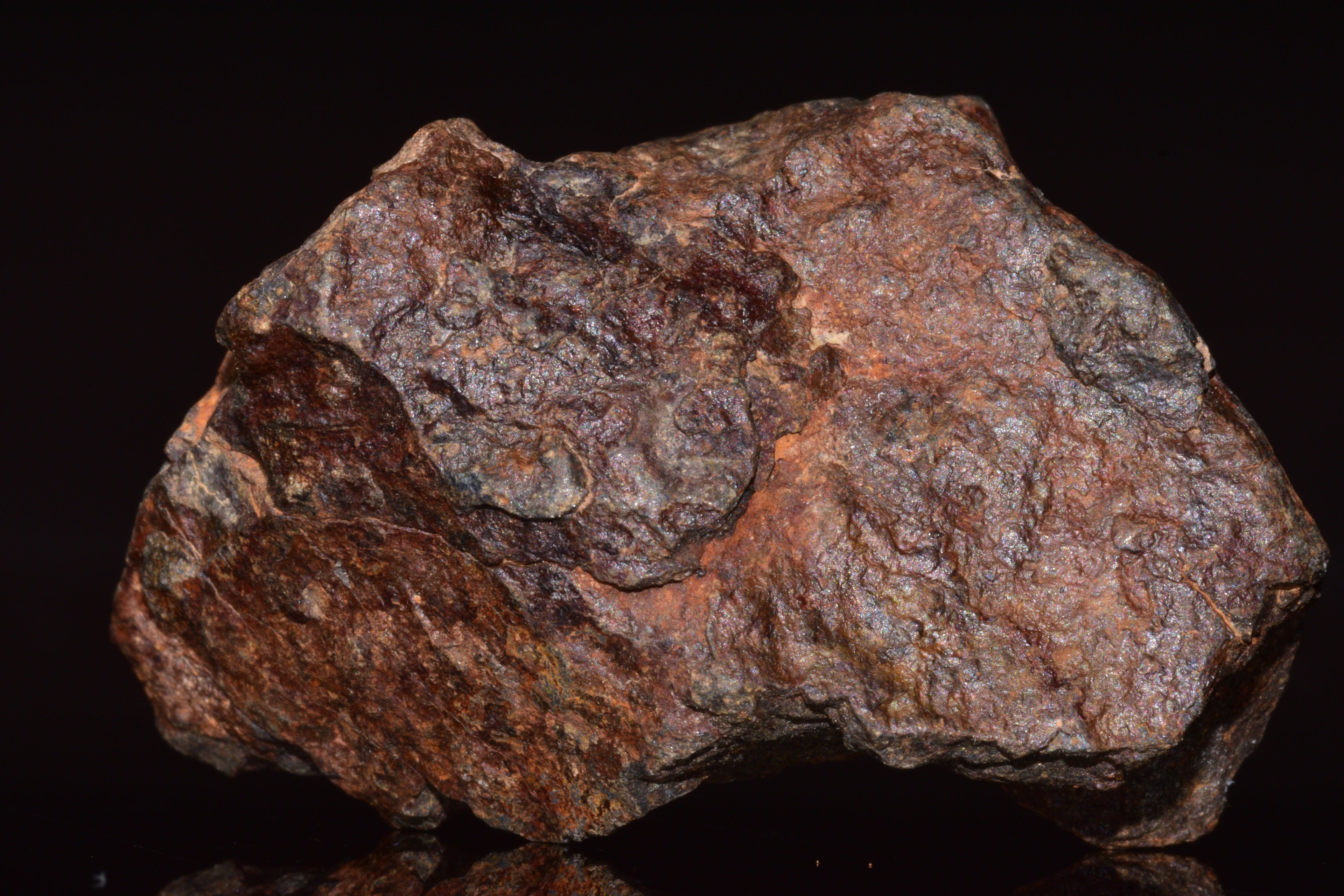 Unclassified Chondrite Meteorite Complete fragment