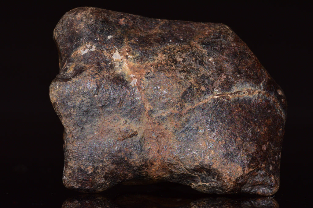 Unclassified Chondrite Meteorite Complete fragment
