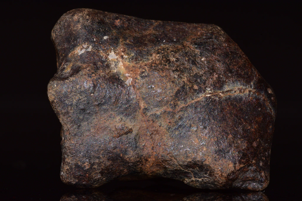 Unclassified Chondrite Meteorite Complete fragment