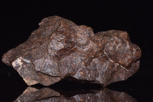 Unclassified Chondrite Meteorite Complete fragment