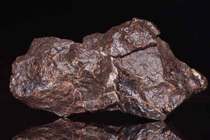 Unclassified Chondrite Meteorite Complete fragment