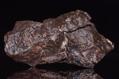 Unclassified Chondrite Meteorite Complete fragment