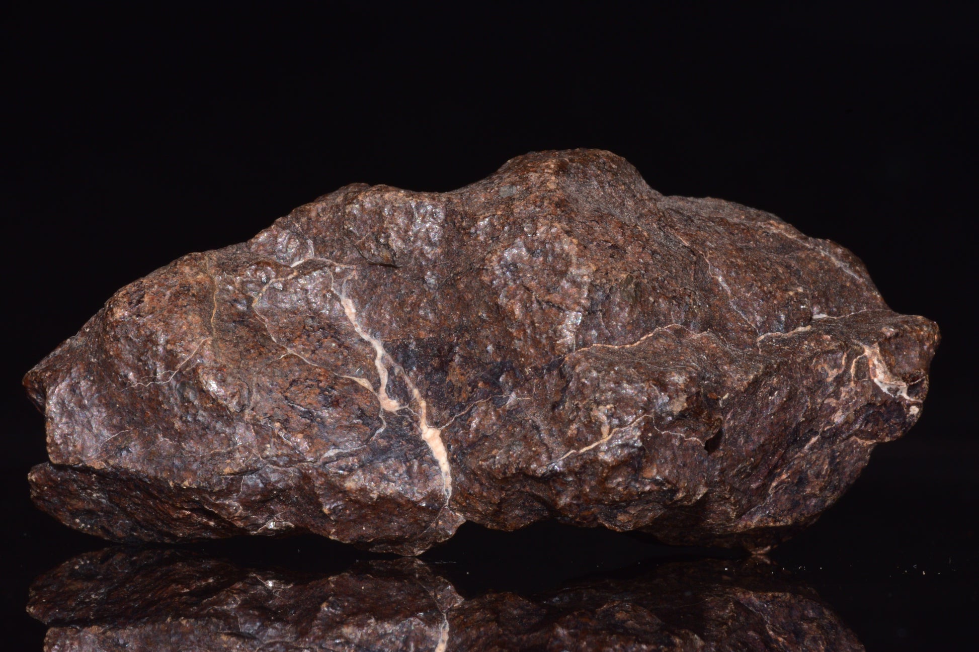 Unclassified Chondrite Meteorite Complete fragment