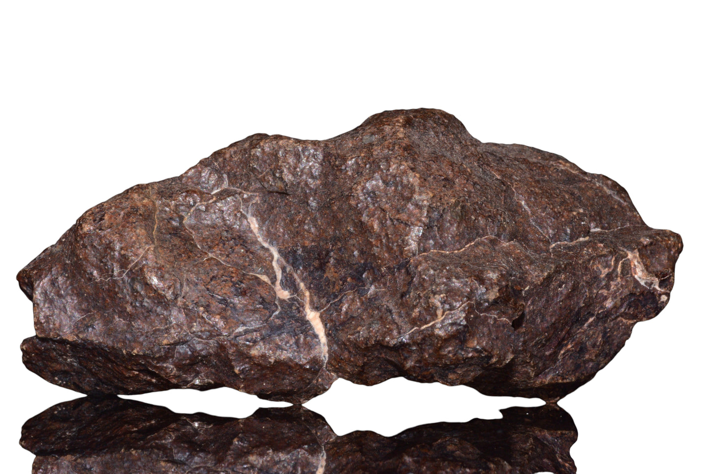 Unclassified Chondrite Meteorite Complete fragment — alternate view 5