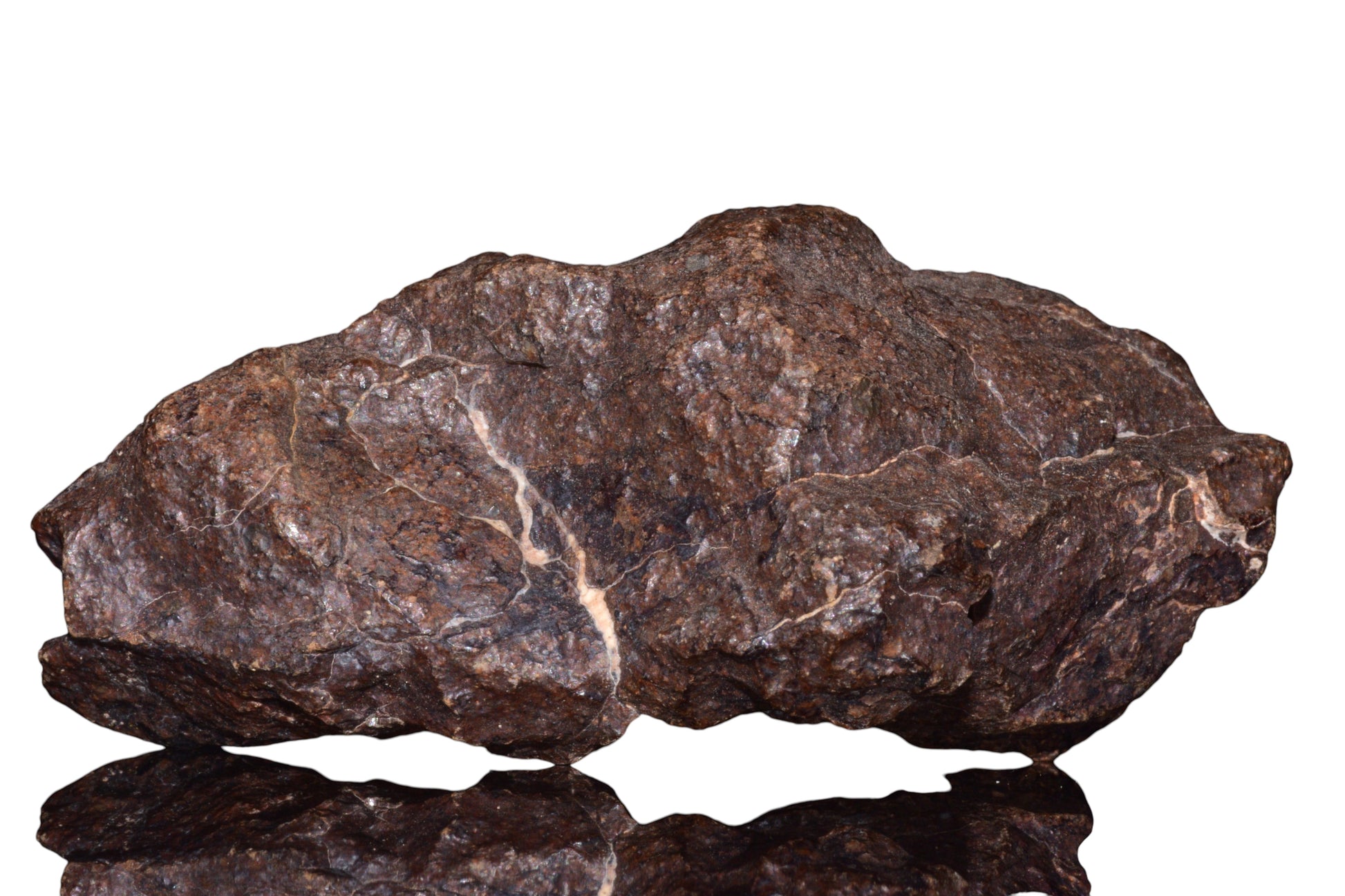 Unclassified Chondrite Meteorite Complete fragment — alternate view 5