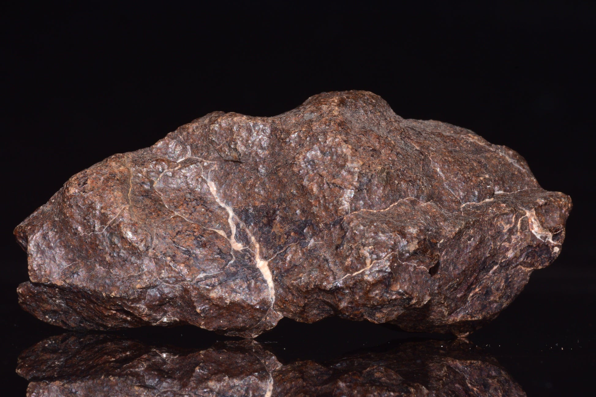 Unclassified Chondrite Meteorite Complete fragment