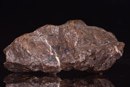 Unclassified Chondrite Meteorite Complete fragment