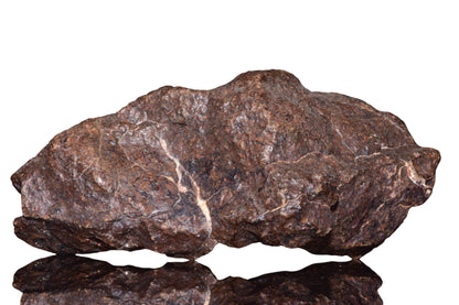 Unclassified Chondrite Meteorite Complete fragment — alternate view 6