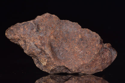 Unclassified Chondrite Meteorite Complete fragment