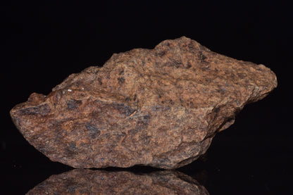 Unclassified Chondrite Meteorite Complete fragment