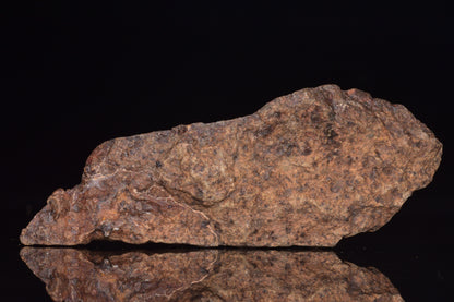 Unclassified Chondrite Meteorite Complete fragment