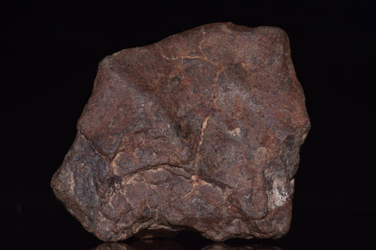 Unclassified Chondrite Meteorite Complete fragment