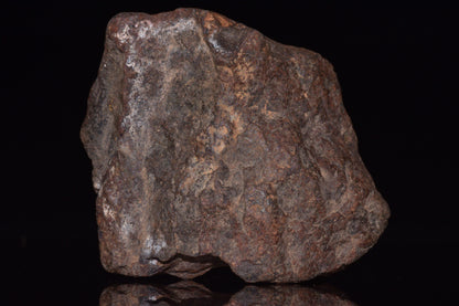 Unclassified Chondrite Meteorite Complete fragment