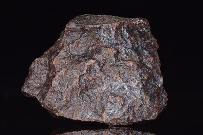 Unclassified Chondrite Meteorite Complete fragment