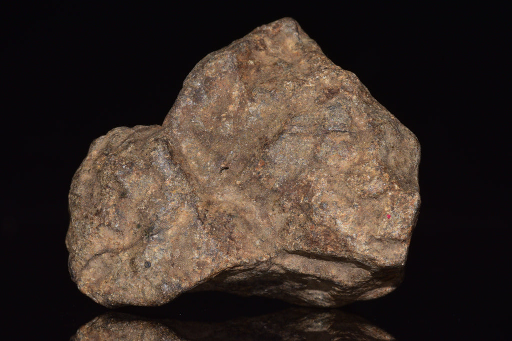 Unclassified Chondrite Meteorite Complete fragment
