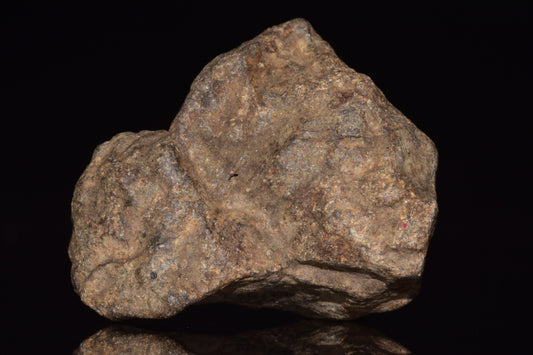 Unclassified Chondrite Meteorite Complete fragment