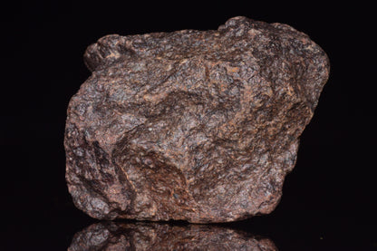 Unclassified Chondrite Meteorite Complete fragment