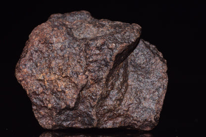 Unclassified Chondrite Meteorite Complete fragment