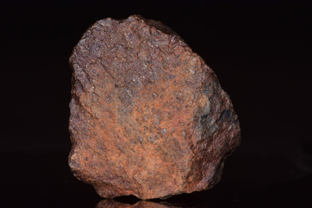 Unclassified Chondrite Meteorite Complete fragment